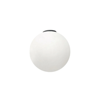 DIOSCURI 35 WALL/CEILING LAMP - robinsonco.ca