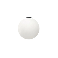 DIOSCURI 25 WALL/CEILING LAMP - robinsonco.ca