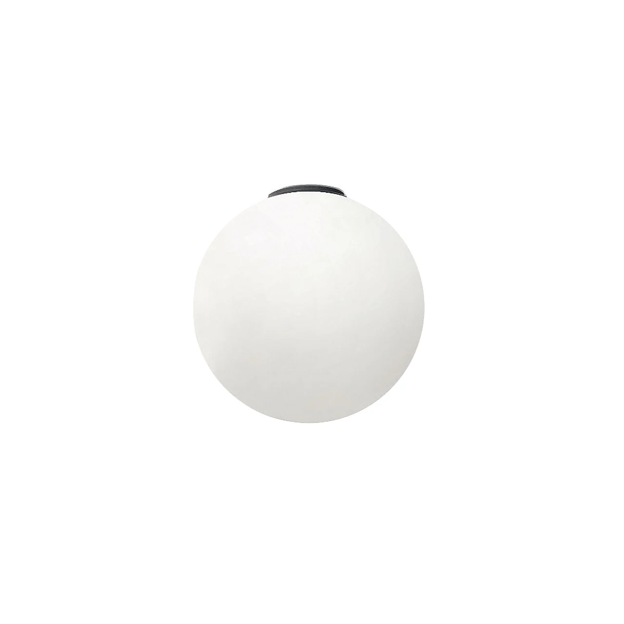 DIOSCURI 25 WALL/CEILING LAMP - robinsonco.ca