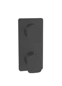 PETITE B04 COMPLETE THERMOSTATIC PRESSURE BALANCED 2-WAY DIVERTER SHOWER CONTROL VALVE - robinsonco.ca