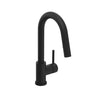 UNICK II SINGLE HOLE BAR/PREP KITCHEN FAUCET - robinsonco.ca
