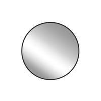 BRIO MIRROR - robinsonco.ca