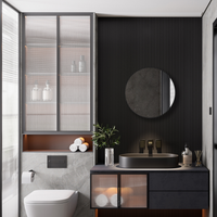 BRIO MIRROR - robinsonco.ca