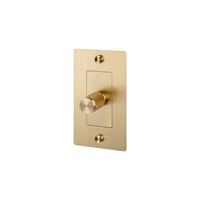 Buster and Punch 1 Gang Cross Dimmer Switch in Brass