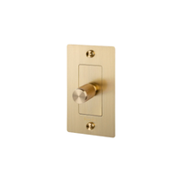 Buster and Punch 1 Gang Cross Dimmer Switch in Brass with logo.