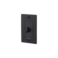 Buster and Punch 1 Gang Toggle Linear light Switch in Black with logo