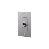 Buster and Punch 1 Gang Toggle Linear light Switch in Steel