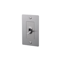 Buster and Punch 1 Gang Toggle Linear light Switch in Steel with logo