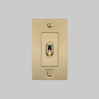 Front view of Buster and Punch 1 Gang Toggle Linear light Switch in Brass with logo