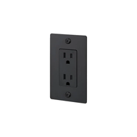 Buster and Punch 1 Gang Linear Duplex Outlet in Black.