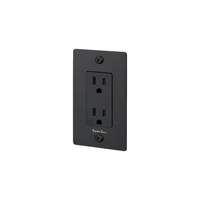 Buster and Punch 1 Gang Linear Duplex  Outlet in Black with logo.