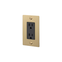 Buster and Punch 1 Gang Linear Duplex Outlet in Brass.