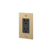 Buster and Punch 1 Gang Linear Duplex  Outlet in Brass with logo.