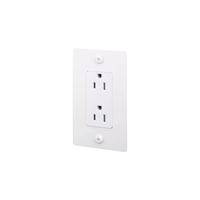 Buster and Punch 1 Gang Linear Duplex Outlet in White
