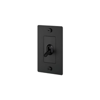 Buster & Punch Black Light Switch 1 Gang Toggle with Cross design