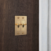 Buster & Punch Brass Light Switch 2 Gang Toggle with Cross design on wall