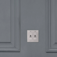 Buster & Punch Steel Light Switch 2 Gang Toggle with Cross design