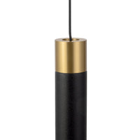 Close up of Calla pendant light with black leather and brass accents