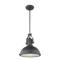CRESSWELL SERIES 1 LIGHT PENDANT - robinsonco.ca