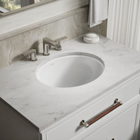 CAXTON 19.25-INCH OVAL UNDERMOUNT BATHROOM SINK - NO OVERFLOW - robinsonco.ca