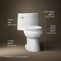 CIMARRON COMFORT HEIGHT ONE-PIECE ELONGATED TOILET - robinsonco.ca