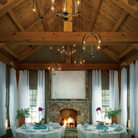 CIRQUE LARGE CHANDELIER - robinsonco.ca