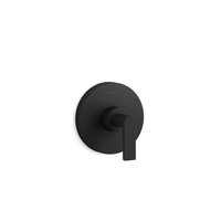 COMPOSED RITE-TEMP VALVE TRIM WITH LEVER HANDLE - robinsonco.ca