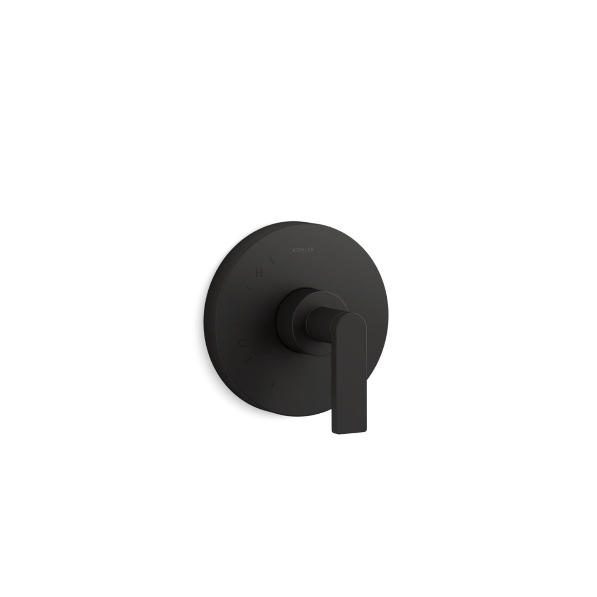 COMPOSED RITE-TEMP VALVE TRIM WITH LEVER HANDLE - robinsonco.ca