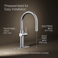 CRUE® PULL-DOWN SINGLE-HANDLE KITCHEN SINK FAUCET - robinsonco.ca