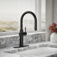 CRUE® PULL-DOWN SINGLE-HANDLE KITCHEN SINK FAUCET - robinsonco.ca