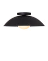 S DANOISE 15" WALL/CEILING LIGHT - robinsonco.ca