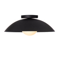S DANOISE 15" WALL/CEILING LIGHT - robinsonco.ca