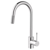 ETRE PULL DOWN KITCHEN FAUCET - robinsonco.ca
