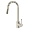 ETRE PULL DOWN KITCHEN FAUCET - robinsonco.ca