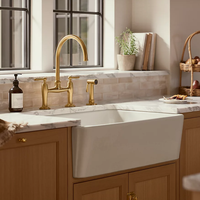 EDALYN™ BRIDGE FAUCET WITH SIDE SPRAY - robinsonco.ca