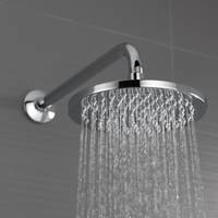 EURO 16" SHOWER ARM AND FLANGE - robinsonco.ca