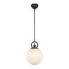 FIORE 10" 1 LIGHT PENDANT - robinsonco.ca
