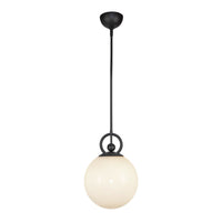 FIORE 10" 1 LIGHT PENDANT - robinsonco.ca