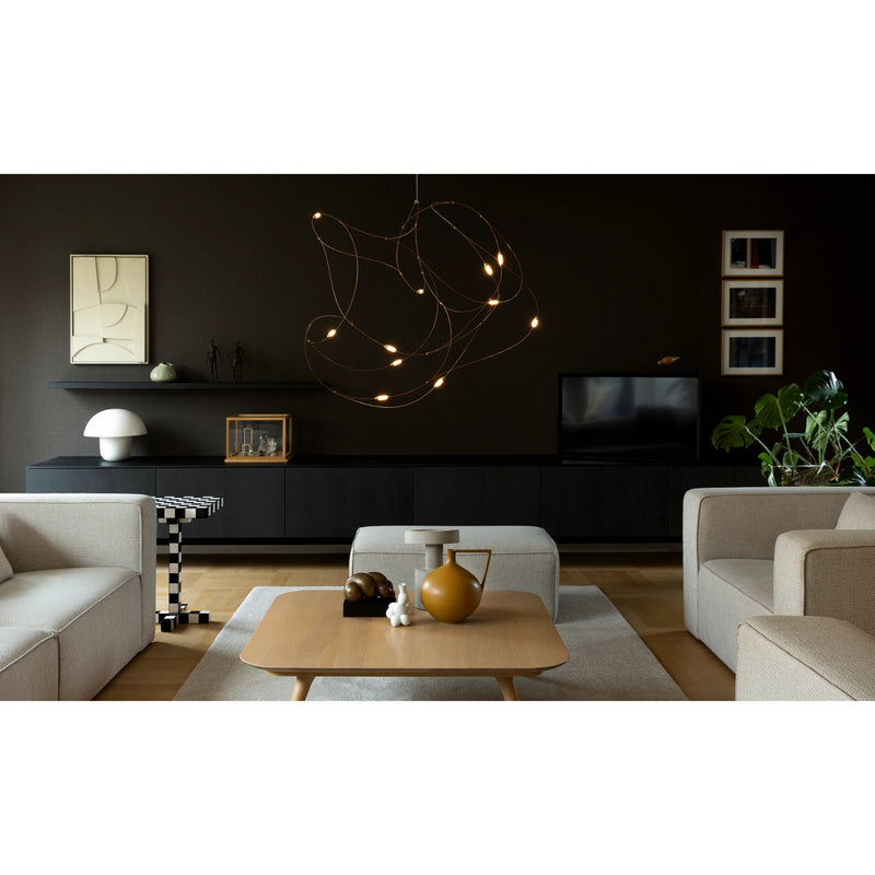 FLOCK OF LIGHT LED CHANDELIER - robinsonco.ca