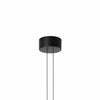 ARRNAGEMENTS SMALL 70W BLACK CANOPY