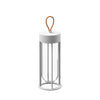 IN VITRO LED UNPLUGGED TABLE LAMP - robinsonco.ca