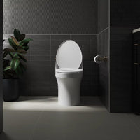 GLISSADE QUIET-CLOSE ELONGATED TOILET SEAT - robinsonco.ca