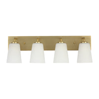 MILES VANITY LIGHT (MULTIPLE SIZES) - robinsonco.ca