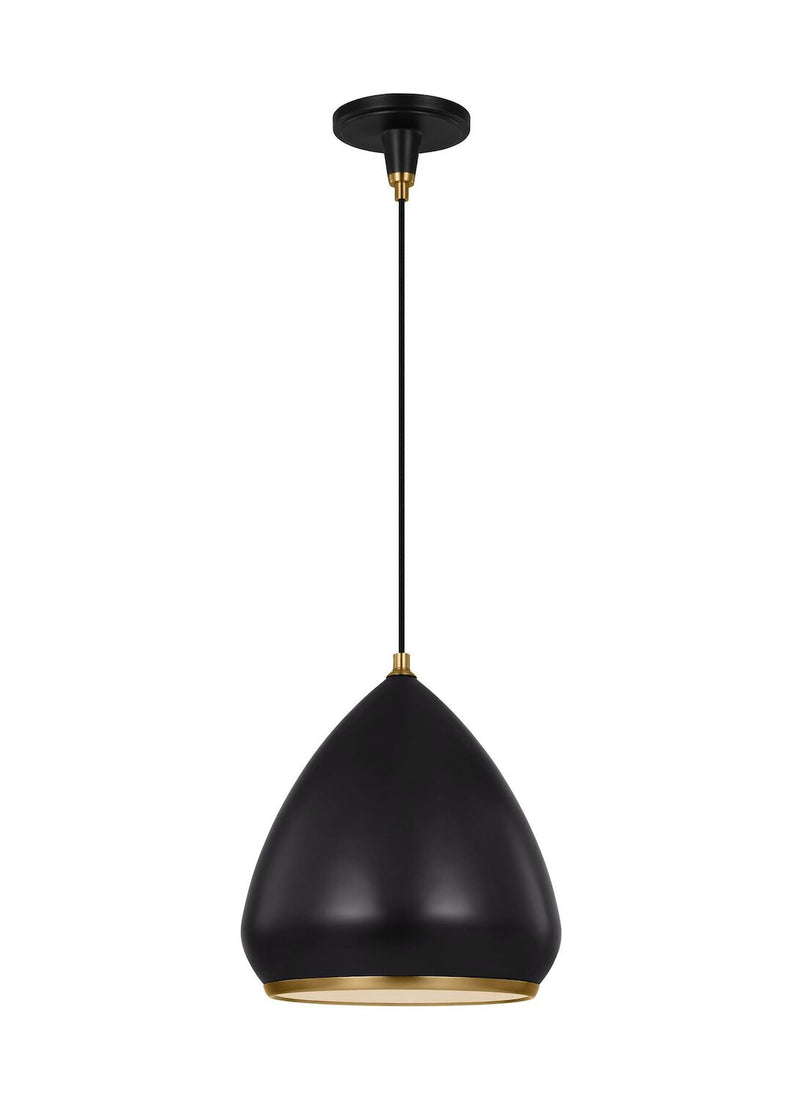CLASICA MEDIUM 1 LIGHT PENDANT - robinsonco.ca