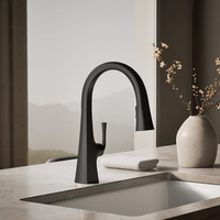 GRAZE PULL-DOWN KITCHEN SINK FAUCET - robinsonco.ca