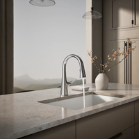 GRAZE PULL-DOWN KITCHEN SINK FAUCET - robinsonco.ca