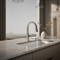 GRAZE® TOUCHLESS 3-FUNCTION PULL-DOWN KITCHEN SINK FAUCET - robinsonco.ca