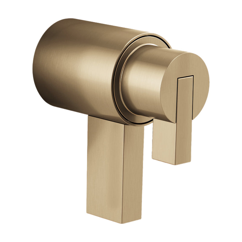 LITZE® TEMPASSURE® THERMOSTATIC TRIM HANDLE KIT - LEVER - robinsonco.ca