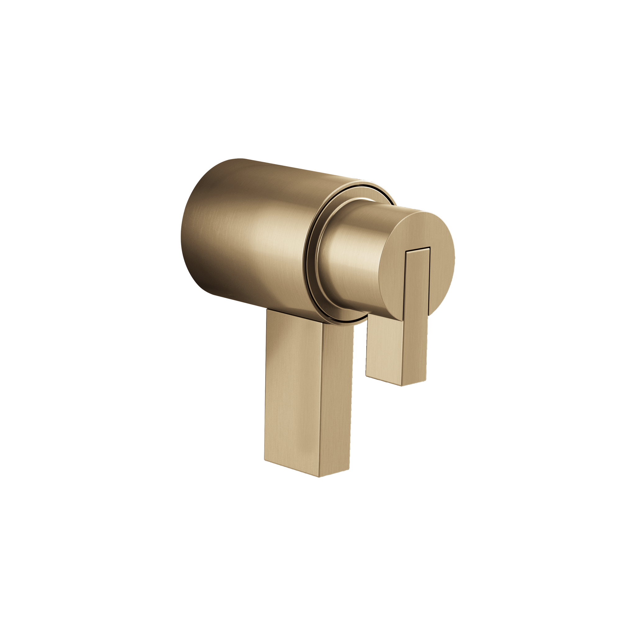 LITZE® TEMPASSURE® THERMOSTATIC TRIM HANDLE KIT - LEVER - robinsonco.ca