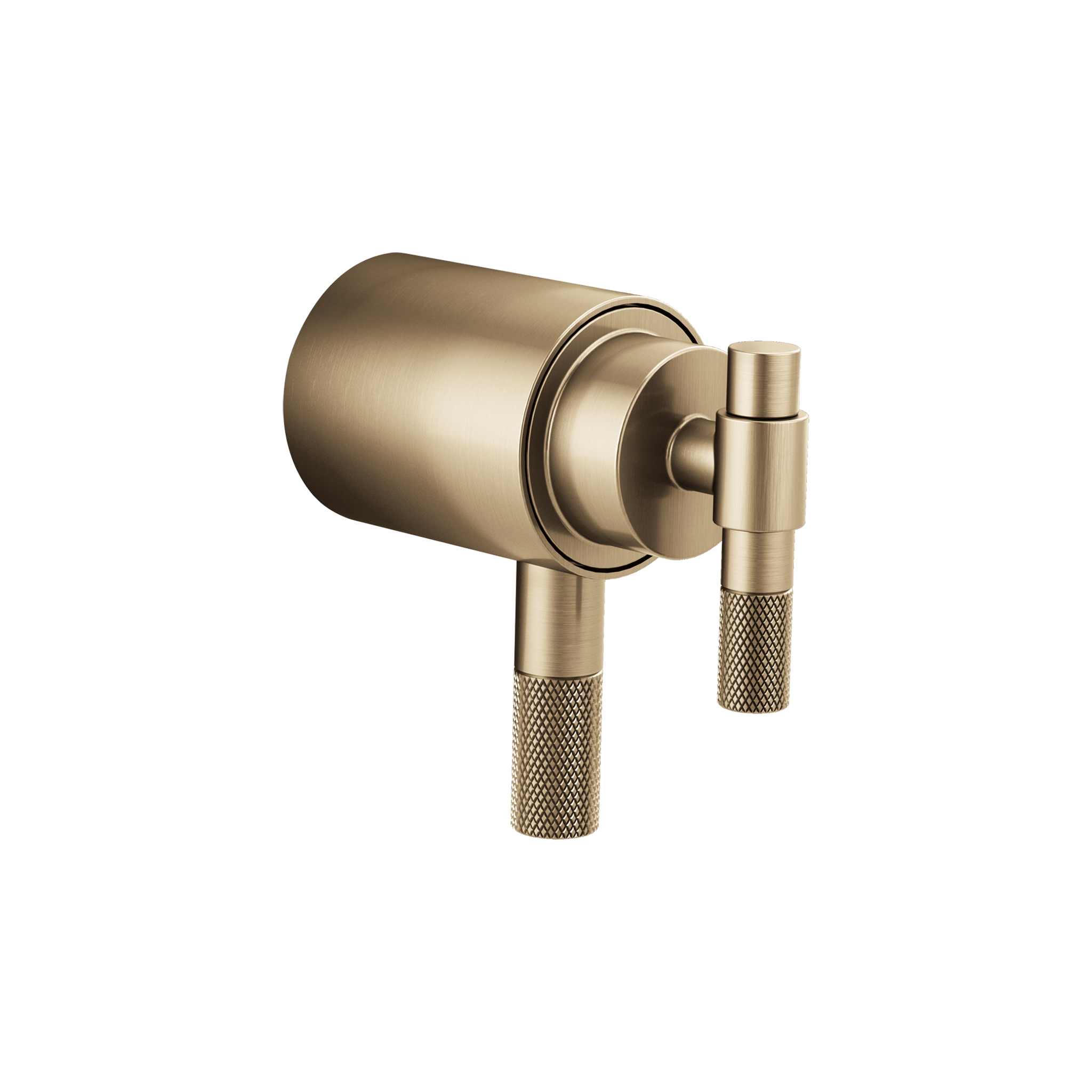 LITZE® TEMPASSURE® THERMOSTATIC TRIM HANDLE KIT - T-LEVER - robinsonco.ca